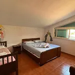 Hostel Arka *